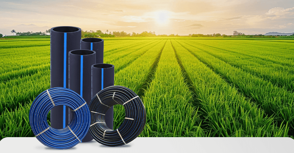 Factory Production Line